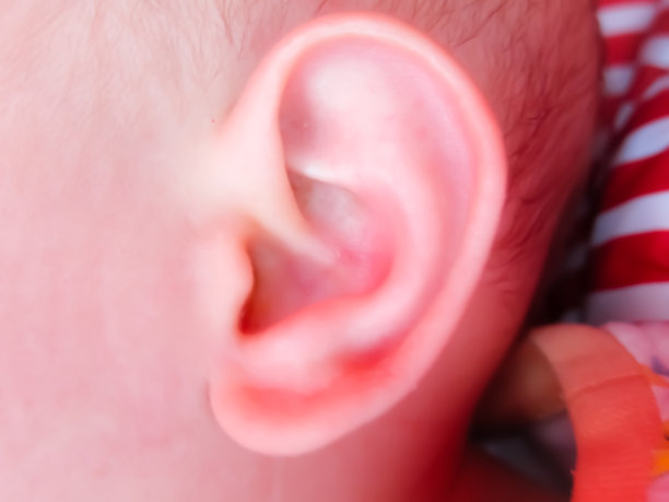 一个婴儿的耳朵图片下载