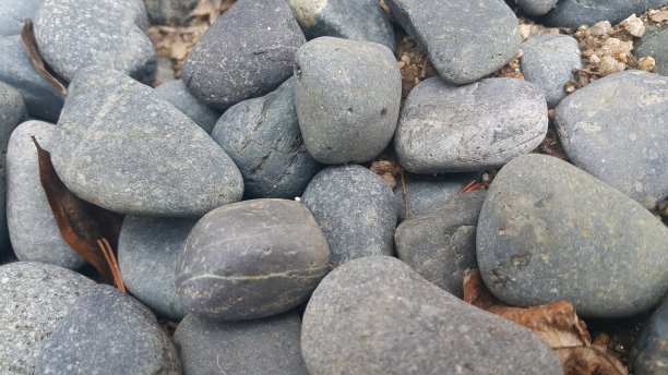 卵石，小的，圆形的，光滑的岩石图片下载
