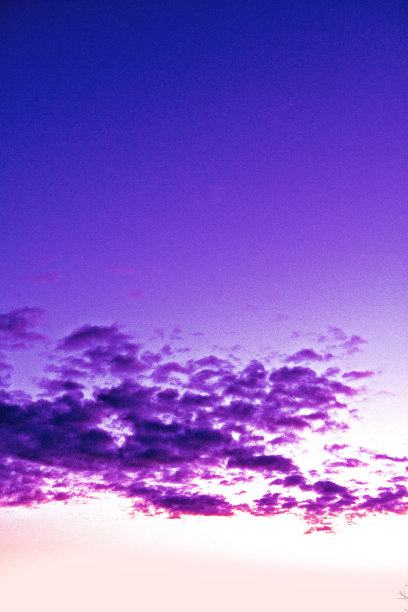 美丽的紫罗兰抽象色系在自然界图片下载