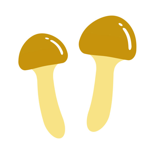 Nameko蘑菇图片下载