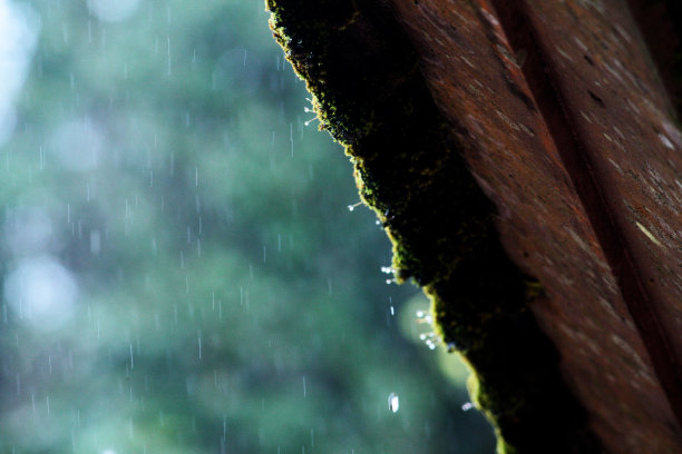 以绿色自然为背景的雨天屋檐下的雨水图片下载