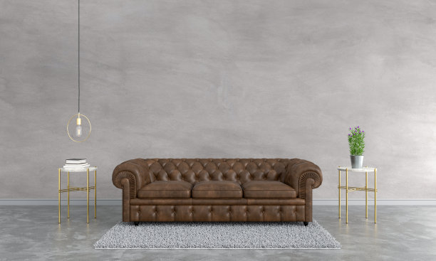 客厅棕色沙发，阁楼风格，3D渲染图片下载