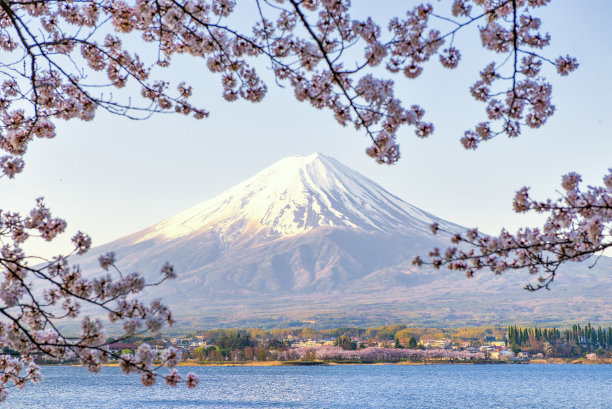日本春日的富士山和川口湖的粉色樱花枝桠图片下载