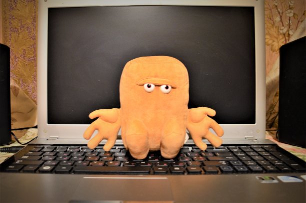 小玩具做伴奏。图片下载