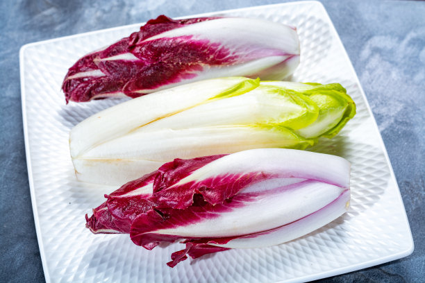 一组新鲜的绿色比利时菊苣或菊苣和红色菊苣蔬菜，也被称为witlof沙拉图片下载