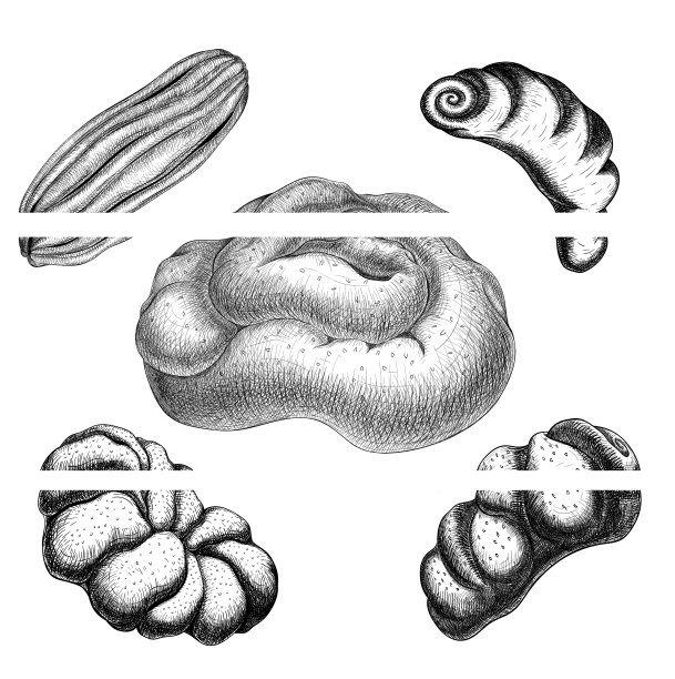 面包房和糕点背景。线性图形。图片下载