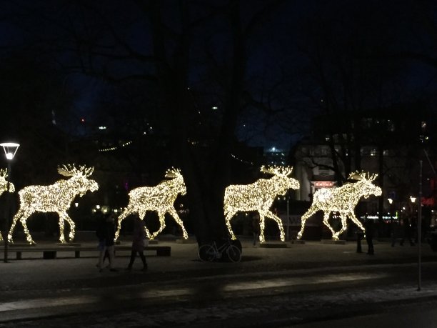 麋鹿光显示图片下载