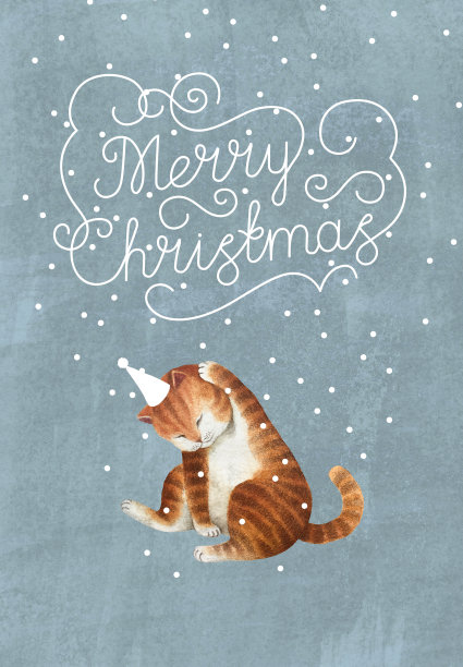 与猫的明信片图片下载