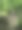 阿巴拉契亚山道流图片下载
