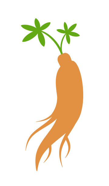 Korai红毛图片下载