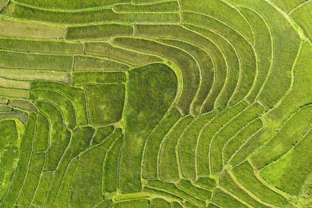 (俯视)在老挝琅勃拉邦的山上，一个壮观的绿色梯田的令人惊叹的鸟瞰图，形成了一个自然的纹理。图片下载