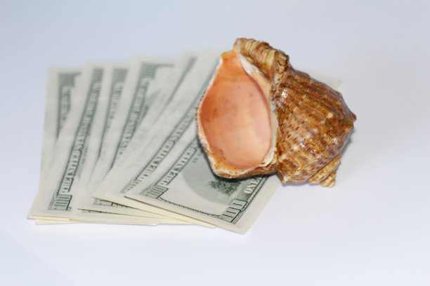 贝壳上的美元背景。附近是一个地球仪。图片下载