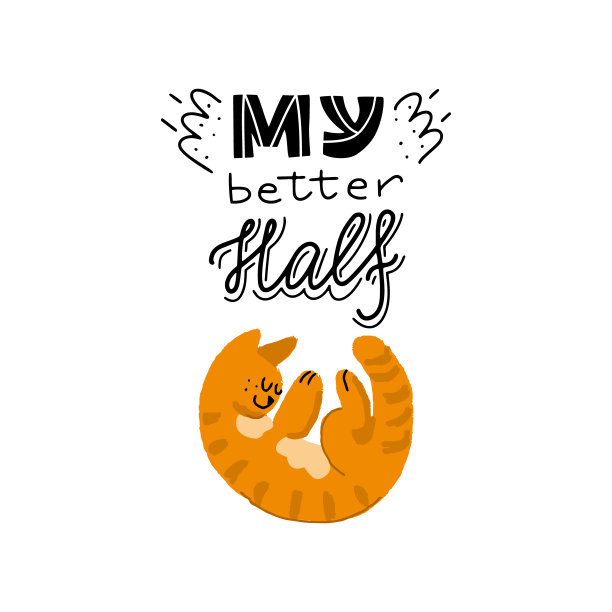 一套橙色猫。向量。图片下载