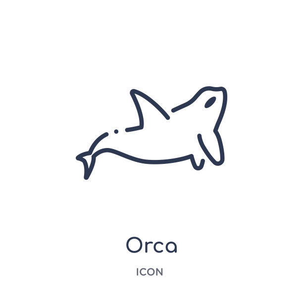 线性虎鲸图标从动物和野生动物轮廓收集。细线逆戟鲸矢量孤立在白色背景。虎鲸时尚插图图片下载