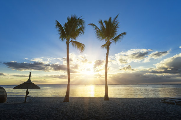 两棵孤独的棕榈树孤零零地矗立在热带海滩上图片下载