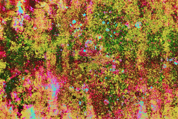 详细的画图片下载