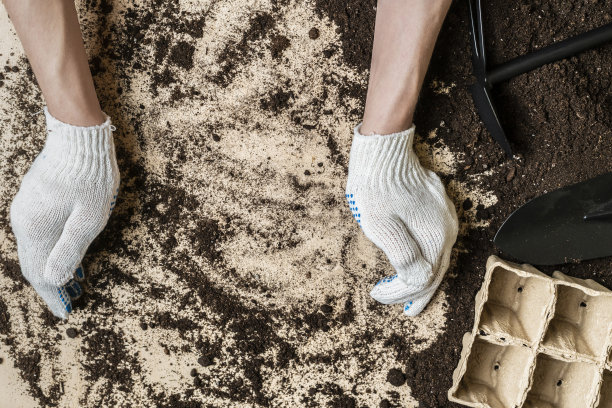 园林幼苗土壤复制空间。手握园艺用品图片下载