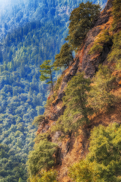 在不丹的山林中，喜马拉雅山的春天，在通往廷布附近的山上修道院的路上。图片下载