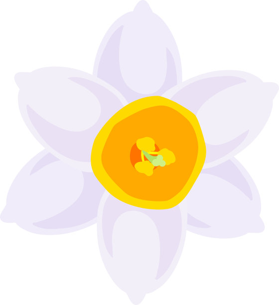 漂亮的水仙花图片下载