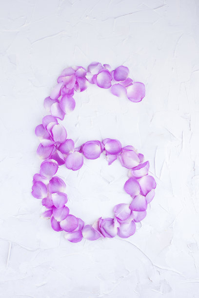 白色背景上玫瑰花瓣的图6。女性节日的粉色玫瑰。照片或明信片的概念，一个浪漫的礼物。文本的自由空间。孤立的形象。图片下载