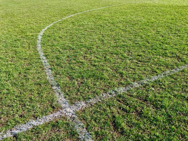 足球场图片下载