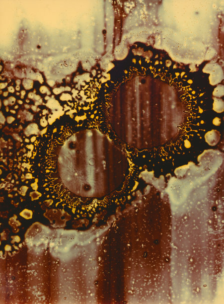 分形设计纹理墙纸，抽象插图。图片下载