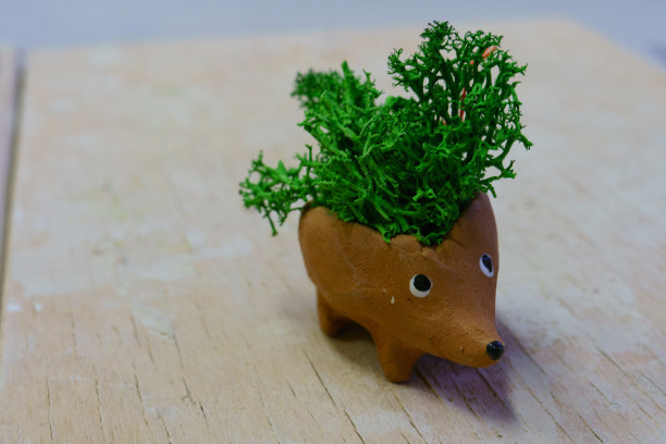 家居装饰的主题。陶瓷刺猬在花盆的形式为家花图片下载