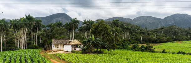 农业在古巴图片下载