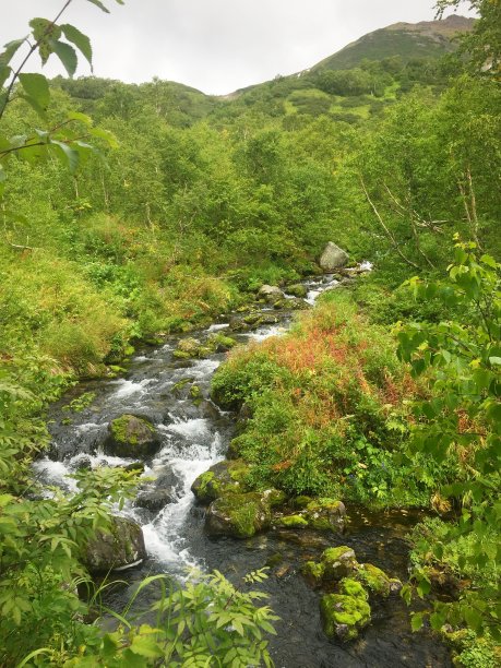 山涧从山上流过图片下载