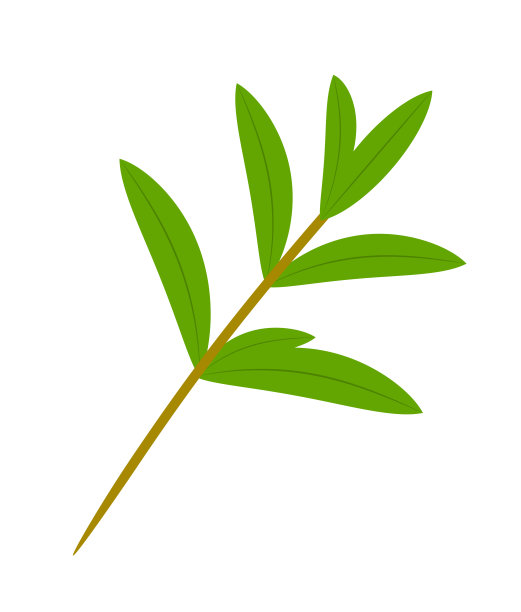 天然药图片下载