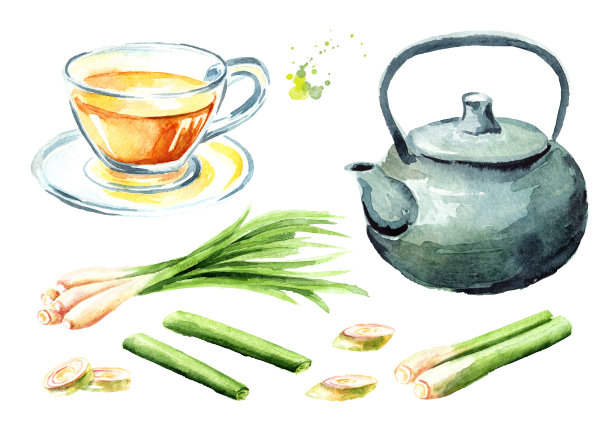 柠檬草草本茶。茶壶、玻璃杯、植物片。水彩手绘插图孤立的白色背景图片下载