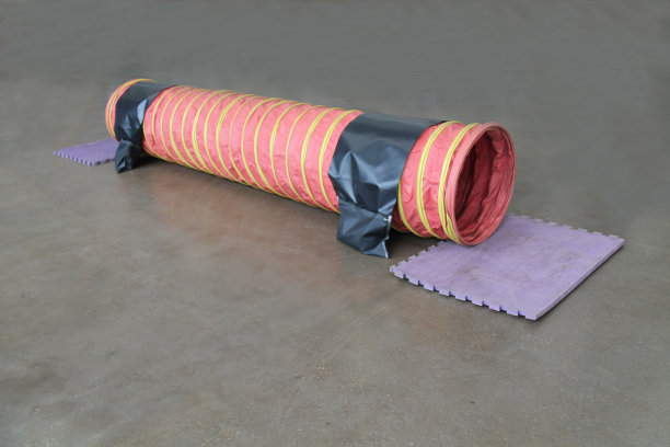 狗训练敏捷课程。图片下载