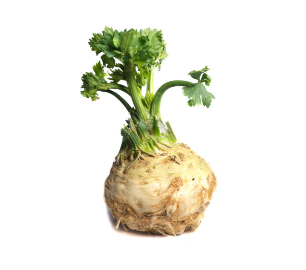 在白色背景上分离的新鲜芹菜块茎图片下载