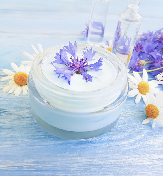 化妆霜，洋甘菊花，矢车菊木背景图片下载