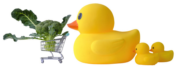 购物车里面有一个新鲜的有机花椰菜叉，由一个大的黄色橡皮鸭父母推着，后面跟着两个小鸭子，这是一个关于家庭购买健康有机蔬菜饮食的概念形象。图片下载