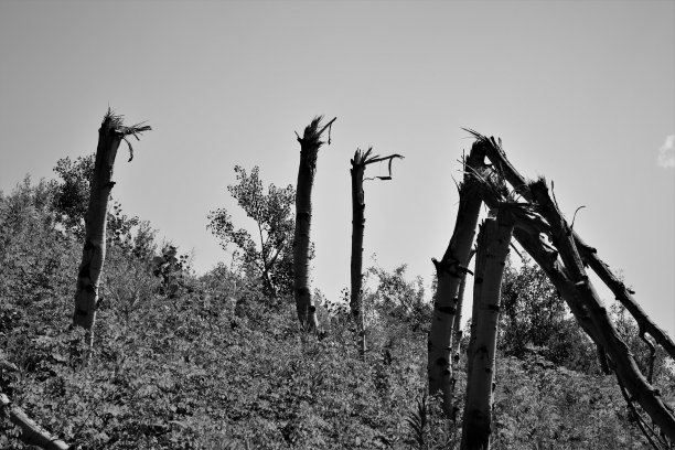 找到内心的平静图片下载