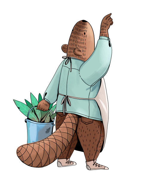 在白色的背景上，海狸像人一样穿着制服，拿着一个带有绿色叶子的金属桶，伸向孤立的东西图片下载