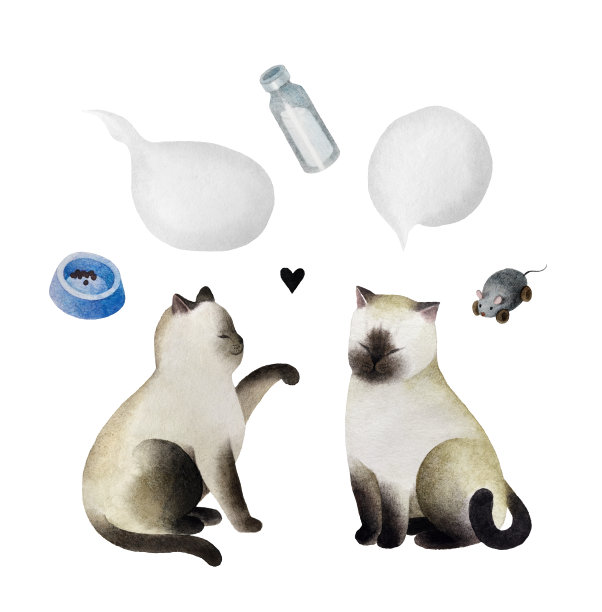 水彩猫咪和气泡套装图片下载