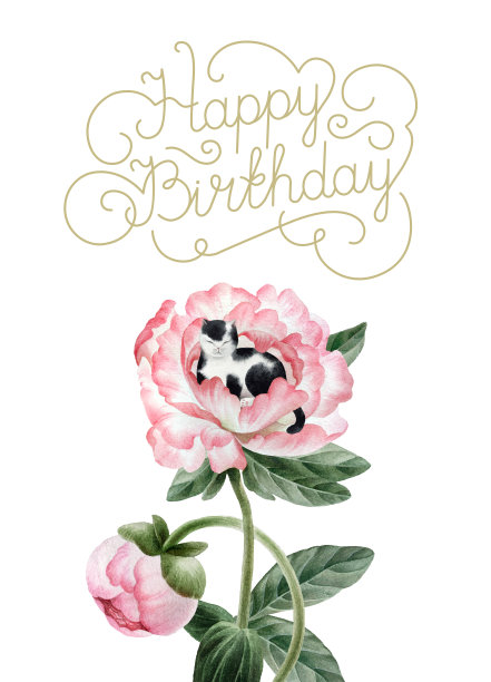 水彩牡丹图片下载