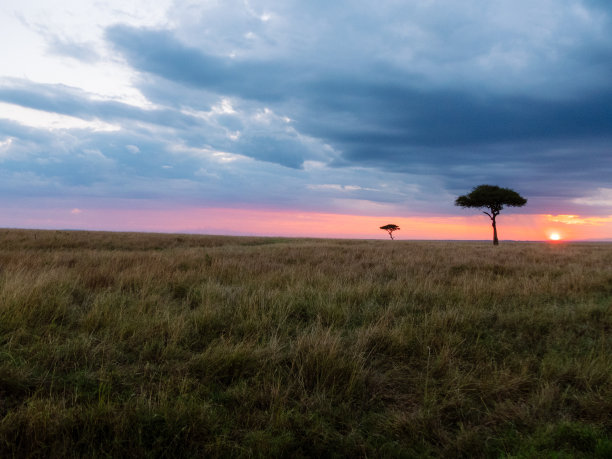 大草原上的夕阳，背景是相思，天空中布满了云彩图片下载
