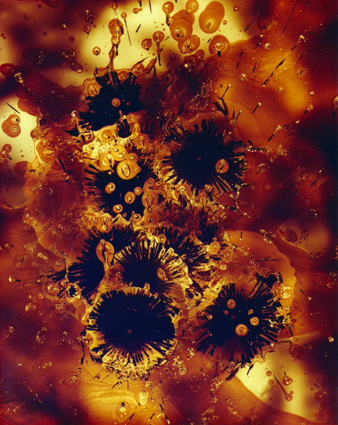 分形设计纹理墙纸，抽象插图。图片下载