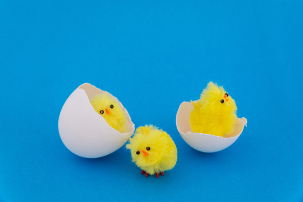 蓝色背景的蛋壳里的玩具鸡。复活节的背景。图片下载