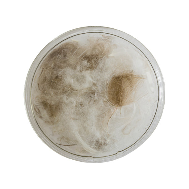 在白色背景上孤立的圆形塑料袋中的绒毛和羽毛。羽绒服的填充。选择的路径图片下载