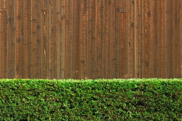 木墙和绿篱图片下载