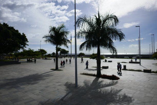 马德里海滨的人们和棕榈树的身影映入阳光图片下载