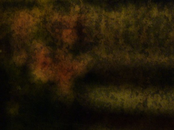 黑色的花图片下载