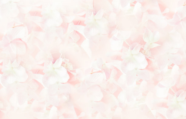 粉色丁香花束。柔软的过滤器。图片下载