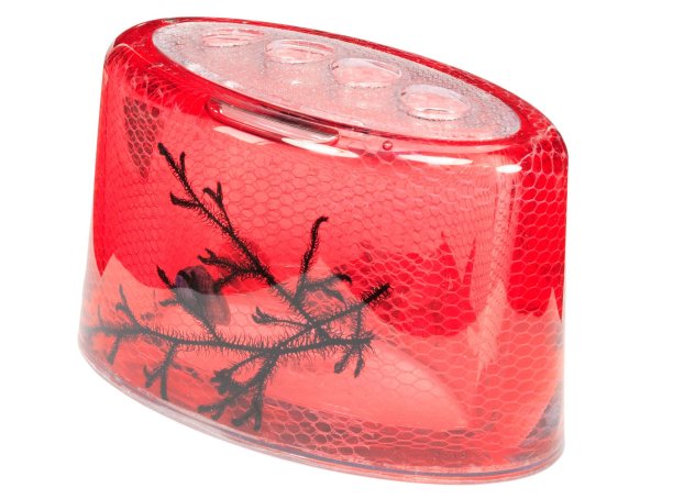 刷的支持图片下载