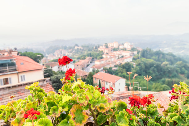 Chiusi Scalo在翁布里亚，意大利或托斯卡纳拥有城镇城市景观的建筑，并集中在花园前景的红色天竺葵花图片下载