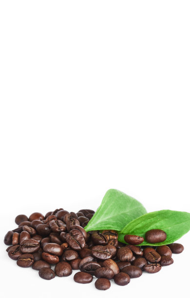 一些咖啡豆的绿叶孤立在白色的背景图片下载